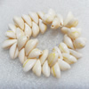 Shell Bracelet, Length Approx:7.1-inch, Sold by Strand