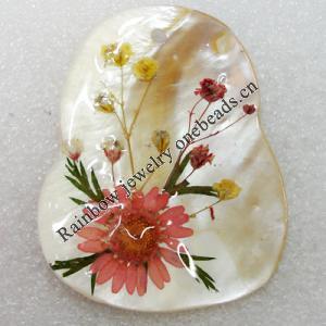 Natural Shell Pendant with Inner Flower, Calabash, 55x68mm, Hole:Approx 3mm, Sold by PC