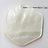 Shell Pendant, 19x17mm, Hole:Approx 2mm, Sold by Bag
