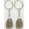 Key Chain Resin with Inner Insect Pendant, 25x40mm, Length Approx 10cm, Sold by PC
