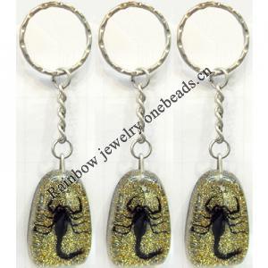 Key Chain Resin with Inner Insect Pendant, 25x40mm, Length Approx 10cm, Sold by PC