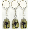 Key Chain Resin with Inner Insect Pendant, 25x40mm, Length Approx 10cm, Sold by PC