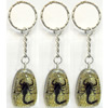 Key Chain Resin with Inner Insect Pendant, 25x40mm, Length Approx 10cm, Sold by PC