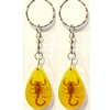 Key Chain Resin with Inner Insect Pendant, 27x46mm, Length Approx 12cm, Sold by PC