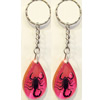 Key Chain Resin with Inner Insect Pendant, 27x46mm, Length Approx 12cm, Sold by PC