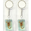 Key Chain Resin with Inner Insect Pendant, 25x40x15mm, Length Approx 11cm, Sold by PC