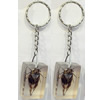 Key Chain Resin with Inner Insect Pendant, 25x40x15mm, Length Approx 11cm, Sold by PC