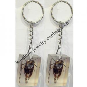 Key Chain Resin with Inner Insect Pendant, 25x40x15mm, Length Approx 11cm, Sold by PC