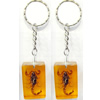 Key Chain Resin with Inner Insect Pendant, 25x40x15mm, Length Approx 11cm, Sold by PC