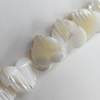 Mother of Pearl Shell Beads, 10mm, Hole:Approx 1mm, Sold per 16-inch Strand