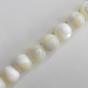 Mother of Pearl Shell Beads, Round, 6mm, Hole:Approx 1mm, Sold per 16-inch Strand