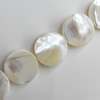 Mother of Pearl Shell Beads, Flat Round, 12mm, Hole:Approx 1mm, Sold per 16-inch Strand