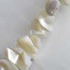Mother of Pearl Shell Beads, Chip, Approx:6-14mm, Sold per 16-inch Strand