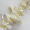 Mother of Pearl Shell Beads, Chip, Approx:8x17-21x28mm, Sold per 16-inch Strand