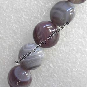 Persian Gulf Agate Beads, Flat Round, 10x5mm, Hole:Approx 1mm, Sold per 15.7-inch Strand