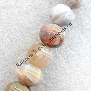 Bamboo Leaf Agate Beads, 16x12mm, Hole:Approx 1mm, Sold per 15.7-inch Strand