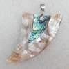 Abalone Shell Pendant，35x60mm, Hole:Approx 2mm, Sold by PC 