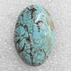 Turquoise Cabochons，Oval, 20x30mm, Sold by PC