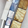 Natural Shell Beads, Rectangle, Mix colour, 25x35mm, Hole:About 1mm, Length:16-inch, Sold by Group