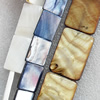 Natural Shell Beads, Rectangle, Mix colour, 16x25mm, Hole:About 1mm, Length:16-inch, Sold by Group