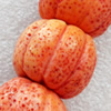 Coral Beads, Pumpkin, 22x17mm, Hole:Approx 1mm, Sold by KG