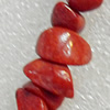 Grass Corals Beads Natural, Chips, 8-13x6mm, Hole:Approx 1mm, Sold by KG