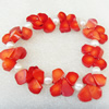 Corals Bracelet, width:24mm, Length Approx:7.1-inch, Sold by Strand