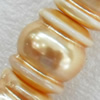 South Sea Shell Beads, 15x16mm, Hole:Approx 1mm, Sold by KG