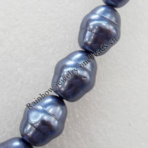 South Sea Shell Beads, 15x18mm, Hole:Approx 1mm, Sold by KG
