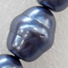 South Sea Shell Beads, 15x18mm, Hole:Approx 1mm, Sold by KG