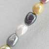 South Sea Shell Beads, Nugget, 13x16mm, Hole:Approx 1mm, Sold by KG