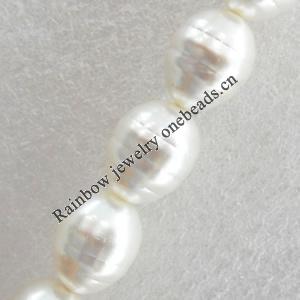 South Sea Shell Beads, Oval, 13x16mm, Hole:Approx 1mm, Sold by KG