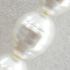 South Sea Shell Beads, Oval, 13x16mm, Hole:Approx 1mm, Sold by KG