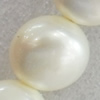 South Sea Shell Beads, Flat Round, 14x10mm, Hole:Approx 1mm, Sold by KG