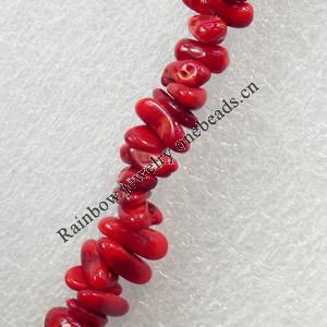 Corals Beads, Chips, 8-12mm, Hole:Approx 1mm, Sold by KG
