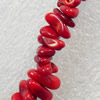 Corals Beads, Chips, 8-12mm, Hole:Approx 1mm, Sold by KG