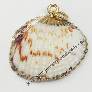 Shell Pendant, Gold Plated, 25mm, Hole:Approx 5mm, Sold by PC