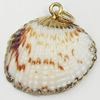 Shell Pendant, Gold Plated, 25mm, Hole:Approx 5mm, Sold by PC