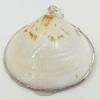 Shell Pendant, Silver Plated, 33x35mm, Hole:Approx 5mm, Sold by PC