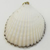 Shell Pendant, Silver Plated, 35x43mm, Hole:Approx 5mm, Sold by PC