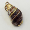 Shell Pendant, Gold Plated, 12x24mm, Hole:Approx 5mm, Sold by PC