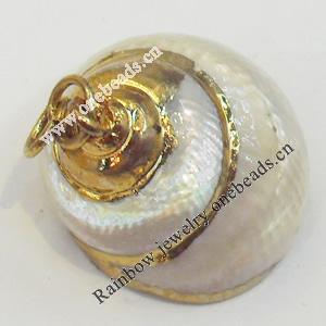 Shell Pendant, Gold Plated, 23mm, Hole:Approx 5mm, Sold by PC