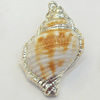 Shell Pendant, Silver Plated, 26x35mm, Hole:Approx 5mm, Sold by PC