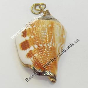 Shell Pendant, Gold Plated, 25x40mm, Hole:Approx 5mm, Sold by PC