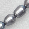 Natural Fresh Water Pearl Beads, Rice, Mix Colour, Beads: about 10-13mm in diameter, Hole: 1mm, Length: 14 Inch, Sold by