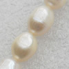 Natural Fresh Water Pearl Beads, Rice, White, Beads: about 6-7mm in diameter, Hole: 1mm, Length: 14 Inch, Sold by Strand