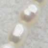 Natural Fresh Water Pearl Beads, Rice, White, Beads: about 3-3.8mm in diameter, Hole: 1mm, Length: 14 Inch, Sold by Stra
