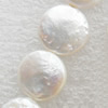 Natural Fresh Water Pearl Beads, Coin, White, Beads: about 12x5mm in diameter, Hole: 1mm, Sold per 14-inch Strand