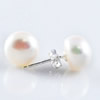 Freshwater Pearl Earrings, 7-8mm, Sold by Pair