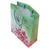 Gift Shopping Bag, Matte PPC, Size: about 31cm wide, 39cm high, 9cm bottom wide, Sold by Box